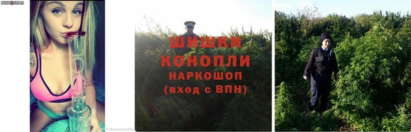 а пвп мука Богородск