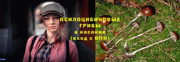 меф Богородицк